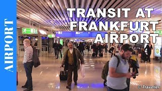 TRANSIT WALK AT FRANKFURT Airport FRA Terminal 1  Connection Flight Transfer Arriving amp Departing [upl. by Kareem712]